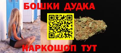 a pvp Славгород