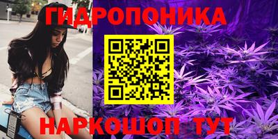 a pvp Славгород