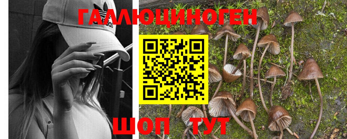 Псилоцибиновые грибы Magic Shrooms  наркота  Среднеуральск  Вход с VPN 
